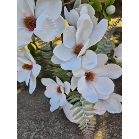 Magnólia cserépben