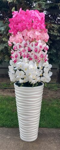 20 ágú orchidea