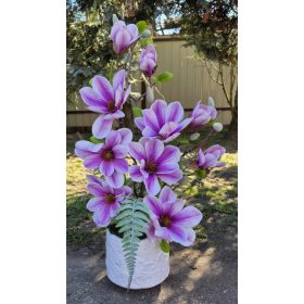 Magnólia cserépben