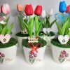 Tulipán vödörben
