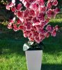 6 ágú orchidea padlókaspóban