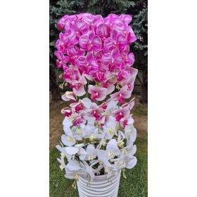 10 ágú orchidea padlókaspóban