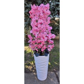 10 ágú orchidea padlókaspóban