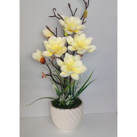 Magnólia cserépben