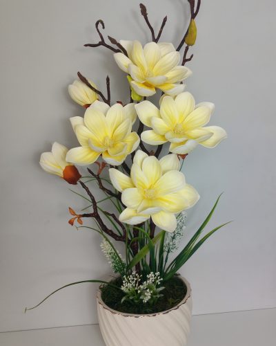 Magnólia cserépben