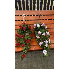 Futó muskátli akasztós kaspóban