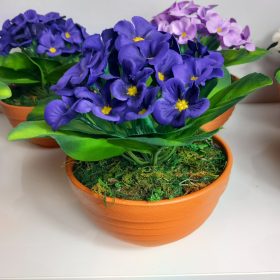 Élethű ibolya kaspóban