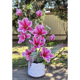 Magnólia cserépben